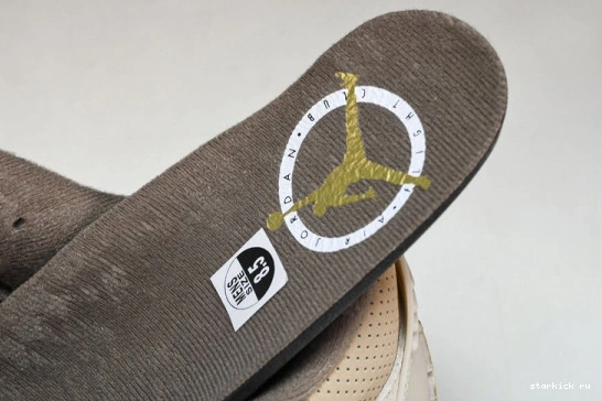 Retro Jordan  3  CT8532-102 Palomino CT8532-102 0925